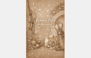 Bonnes fêtes de fin d'année ✨