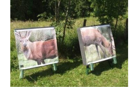 Viroflay: Concours Nature et 3D &quot;Débutants&quot;