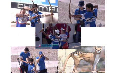 Retrouvez nos champions de tir 3D
